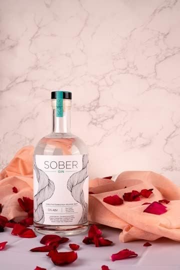 SOBER Non-Alcoholic Gin Set – 2 Flavor Variety Pack for Cocktail Lovers – Alcohol-Free & Refreshing (Pink & Blue) - Image 7