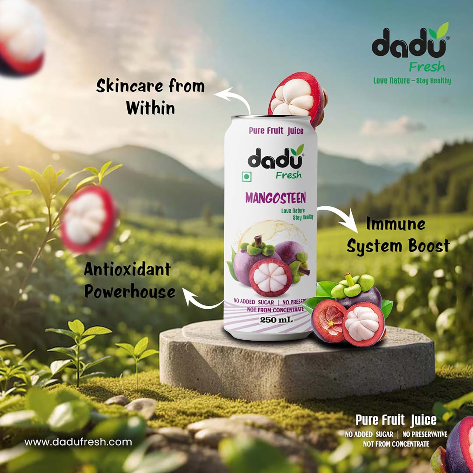 Dadu Juice Combo Pack | Pure Natural, Not from Concentrate, No Added Sugar, No Artificial Flavors or Preservatives | Passion Fruit, Mixed Berries, Mangosteen, Soursop | 4 Cans x 250ml - Image 7
